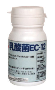 乳酸菌EC-12