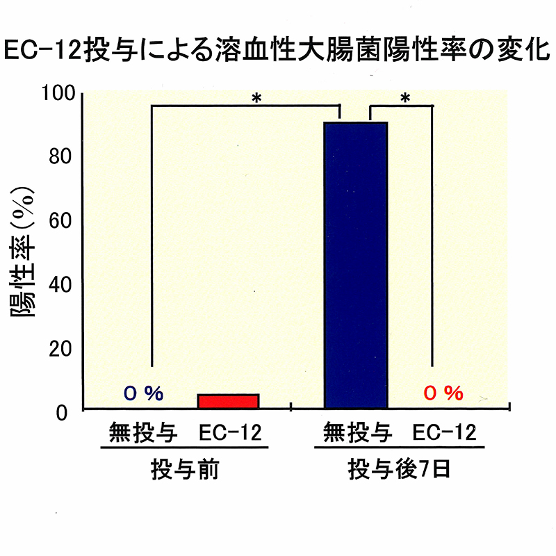 EC-12投与による溶血性大腸菌陽性率の変化